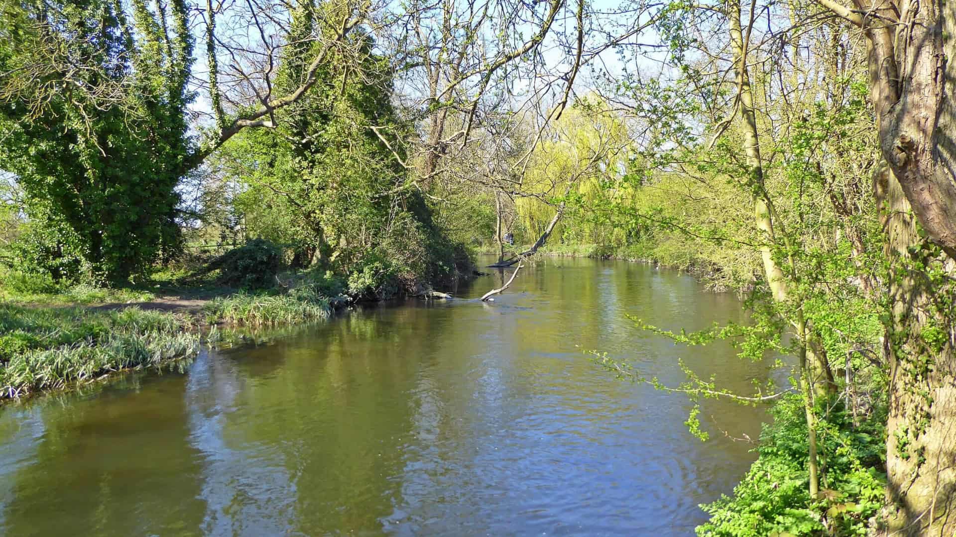 A tranquil river in Iver winds through a lush green landscape, bordered by trees with fresh spring leaves. The water reflects the blue sky and surrounding foliage, creating a serene and picturesque natural scene.